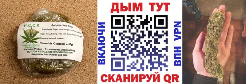 закладка  Межгорье  Canna-Cookies конопля 