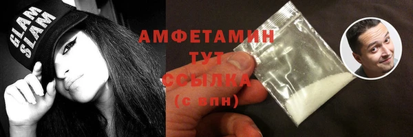 твердый Арсеньев