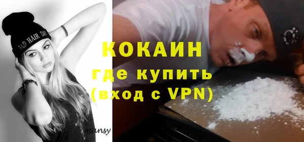 твердый Арсеньев