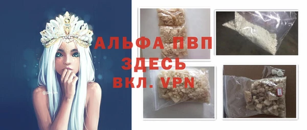 твердый Арсеньев