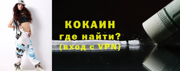 твердый Арсеньев