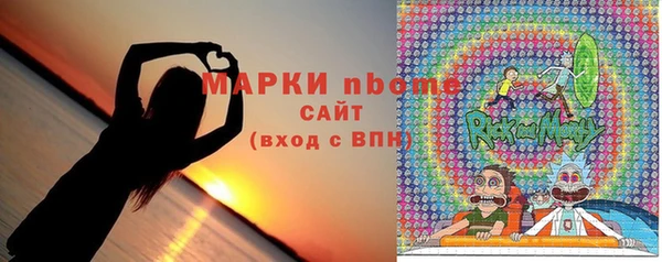 твердый Арсеньев