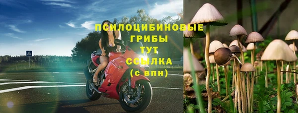 твердый Арсеньев