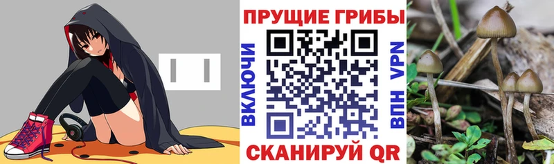 Галлюциногенные грибы Magic Shrooms  Межгорье 